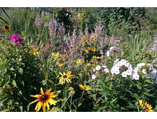 ������ � �������� �����������