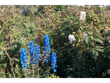 ���������� ����� 80�