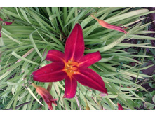 �������� ������ ������� �������� ����