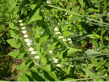 05.08.2013 20:14:05  ������