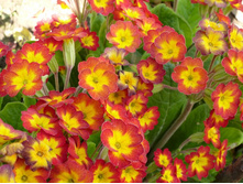 05.08.2013 20:16:07������� ��������� 50�