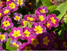 05.08.2013 20:16:36������� ����� � �������.50�