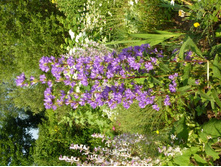 ����������� ��������� 50�