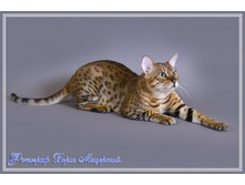 IMG_0133 �����.jpg