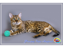 IMG_0149 + �����.jpg