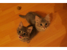 ����� ���� 019.jpg