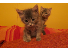 ����� 010.jpg