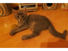 ����� 013.jpg