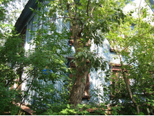 ������� 28