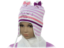 �������� �������. ���. FZ-5. 409 �.