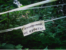 IMG0203.jpg