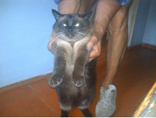 2013-07-06 10.29.49.jpg