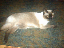 2013-07-06 10.31.01.jpg