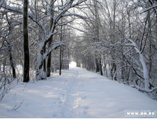 ���� � �����