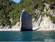 ����� "�����"