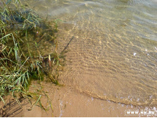 ���������� �������