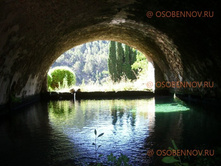 ���� ��������, �������