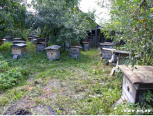 ����� ����� ����������� ������