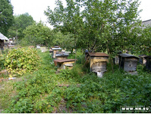 ����� �����, ����� 80 ����