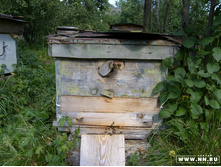 ��� ������ ������������ ����� ���������� ����!