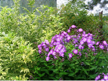 ������ ������ � �����.JPG