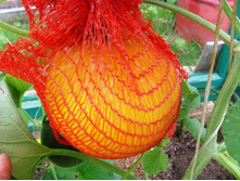 ������ � �����.JPG