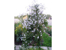 � �ӣ ������ � ������.JPG