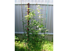 �������� ������ ������ ��� �������.JPG