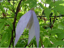 ������ ����� �����.JPG