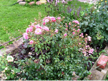 ���� ������ ���� �� ������ ���.JPG