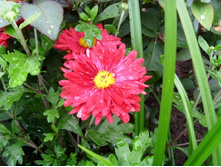 ������- �������.JPG