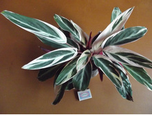 ����������� 043.jpg