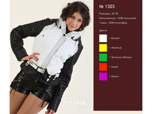 ������ 1303.