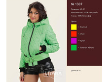 ������ 1307.