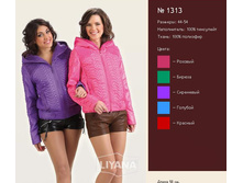 ������ 1313.