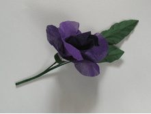 ����������� ������ (����������). �����-����������