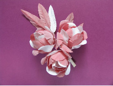 ��������� ���������� � ����� �����-����������