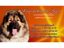 ������� ����.���� ��.jpg