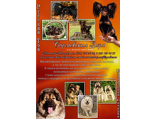 ������� � ������ �-� ���������� ����.jpg