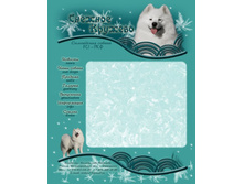 ���� ������� �������.jpg