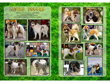 ����-������-3 ���..jpg