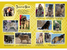 �������-����-2 ���..jpg