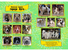 ����-6 ���..jpg