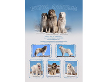 �����-������-5 ���..jpg