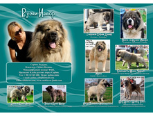 �����-�����-6 ���..jpg