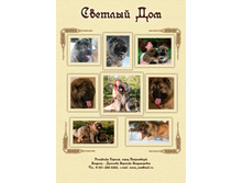 �������-���-5 ���..jpg