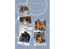 �-�������-������ ���..jpg