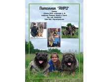 ���� ���..jpg