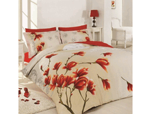 MP Japon EURO CR.gif