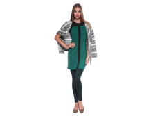 ������ SP160.jpg